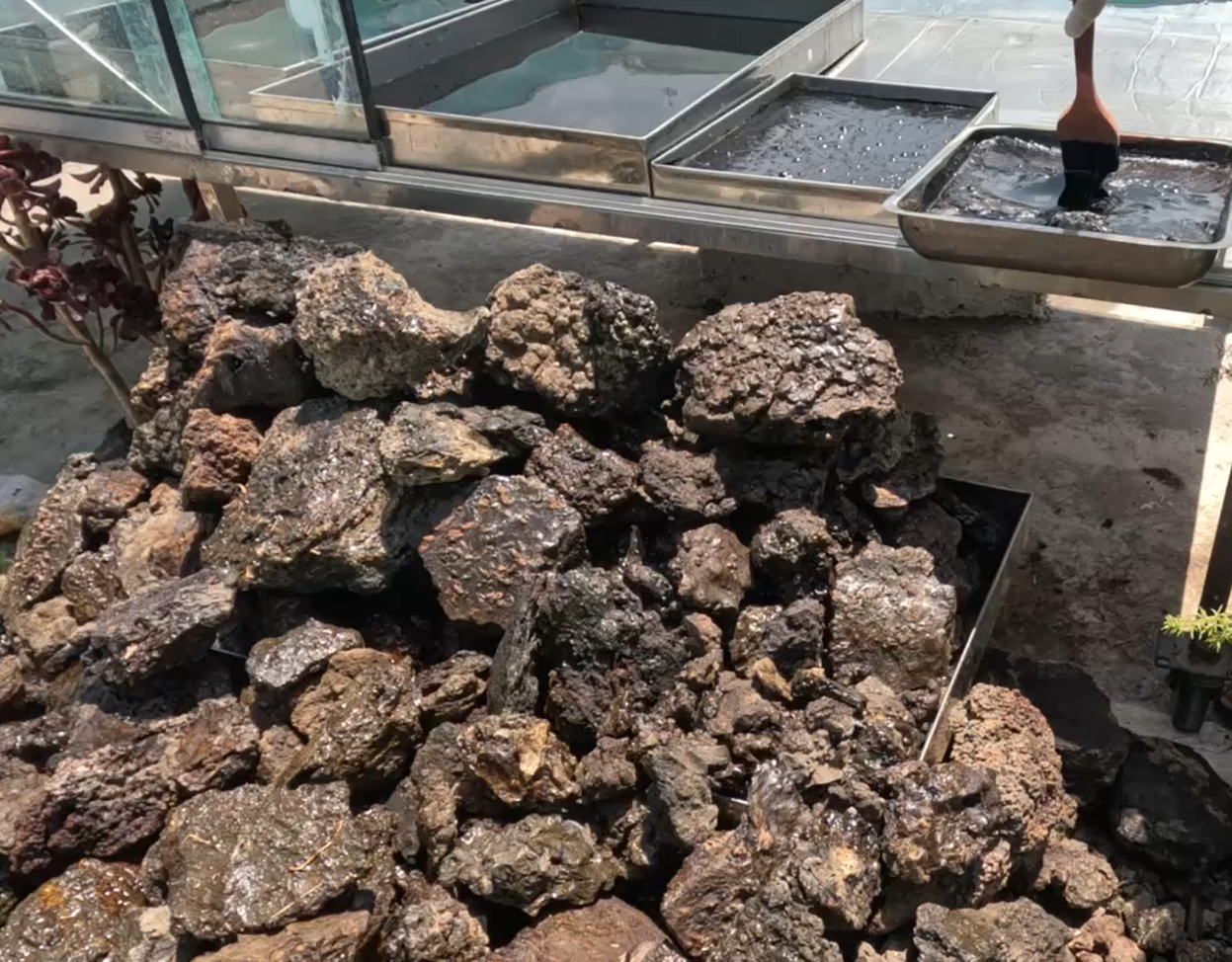 Himalayan Powerpulse Shilajit 30g | Pure Standard Grade Himalayan Resin