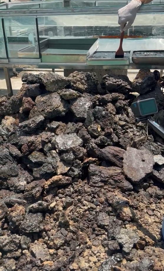 Himalayan Powerpulse Shilajit 50g | Standard Grade Himalayan Shilajit Resin